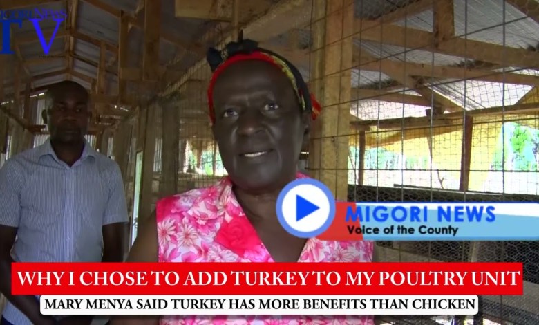 Why I Added Turkey To My Poultry Farm- Retried Teacher Why I Added Turkey To My Poultry Farm- Retried Teacher