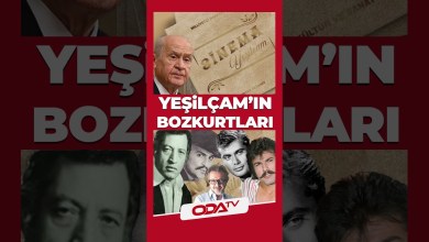 Yeşilçam’s Famous Gray Wolves | Look who’s on the list? #shorts Yeşilçam’s Famous Gray Wolves | Look who’s on the list? #shorts