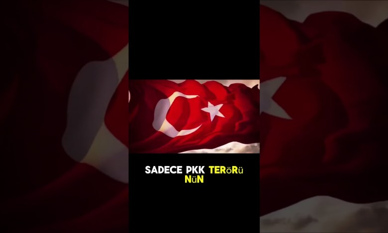 Different Paths of Türkiye and South Korea / Diplomacy and Defense Industry Different Paths of Türkiye and South Korea / Diplomacy and Defense Industry