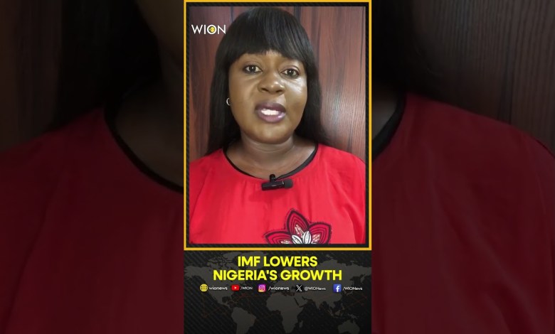 Nigeria: IMF Downgrades Nigeria’s 2024 Growth Forecast To 3.1% | World News | WION Shorts Nigeria: IMF Downgrades Nigeria’s 2024 Growth Forecast To 3.1% | World News | WION Shorts