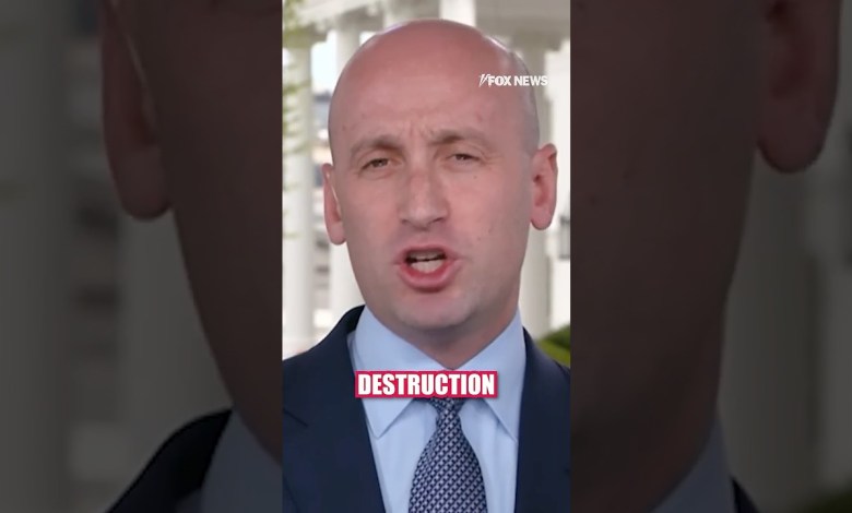 Stephen Miller: Why should we protect the world and get ripped off? #foxnews #shorts Stephen Miller: Why should we protect the world and get ripped off? #foxnews #shorts