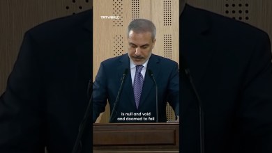 Turkish FM rejects Israel’s occupation plan for Gaza Turkish FM rejects Israel’s occupation plan for Gaza