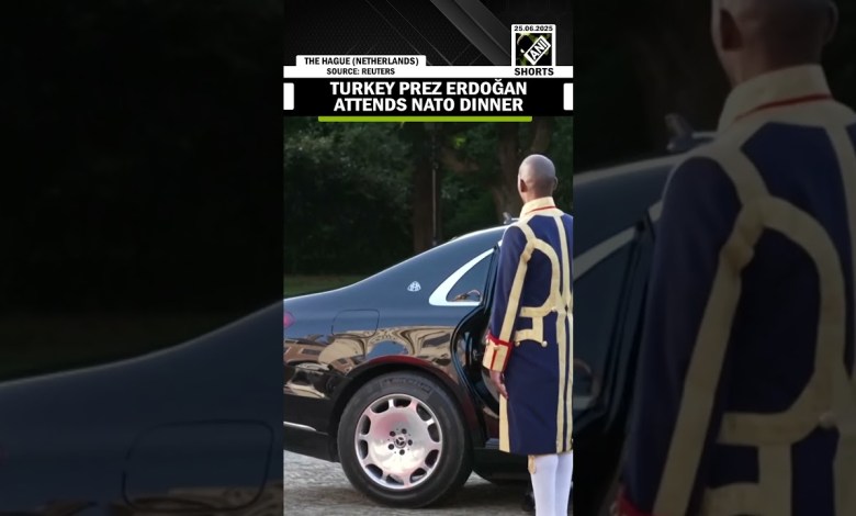 Turkish President Erdoğan attends NATO dinner hosted by Dutch King ahead of summit Turkish President Erdoğan attends NATO dinner hosted by Dutch King ahead of summit