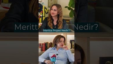 What is the Meritta Project? #shorts What is the Meritta Project? #shorts