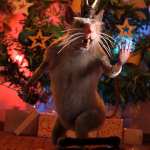 Nutcracker poses for Mouse King Nutcracker poses for Mouse King