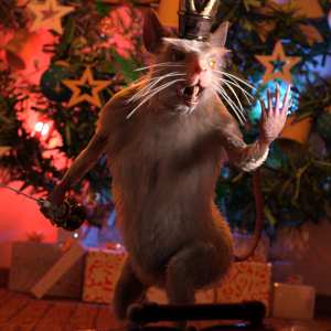 Nutcracker poses for Mouse King Nutcracker poses for Mouse King