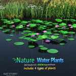 Nature – Water Plants Nature – Water Plants