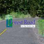 Forest Road for Daz Iray Forest Road for Daz Iray