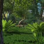 Special Plants and Trees for Iray Special Plants and Trees for Iray