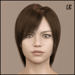 DA Hair for Genesis 8 Female DA Hair for Genesis 8 Female