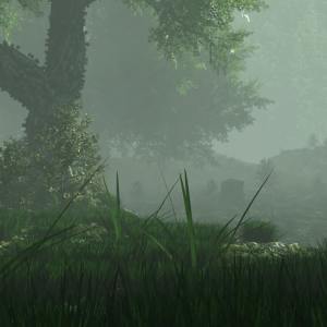 Mysterious Forest Mysterious Forest