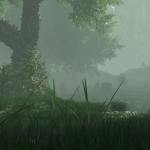 Mysterious Forest Mysterious Forest