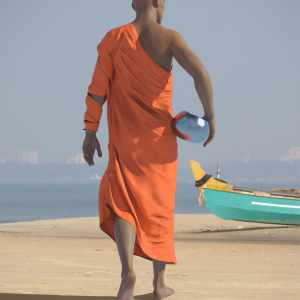 dForce Buddhist Monk Robes for Genesis 8 Males dForce Buddhist Monk Robes for Genesis 8 Males