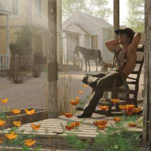 Desert Blooms – California Poppy Desert Blooms – California Poppy