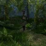 Foggy Forest Foggy Forest