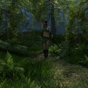 Foggy Forest Foggy Forest