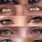 MMX Beautiful Eyes 08 for Genesis 9 MMX Beautiful Eyes 08 for Genesis 9