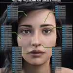 200 Plus Head and Face Morphs for Genesis 8 Female(s) (Updated 2021-04-19) 200 Plus Head and Face Morphs for Genesis 8 Female(s) (Updated 2021-04-19)