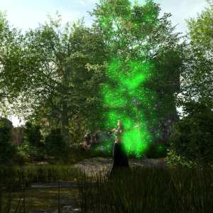 The Magical Tree The Magical Tree