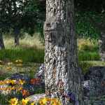 My Fantastic Trees My Fantastic Trees