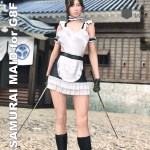 Street Samurai Maid dForce for G8F Street Samurai Maid dForce for G8F