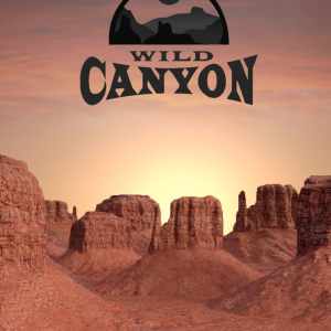 Wild Canyon Wild Canyon