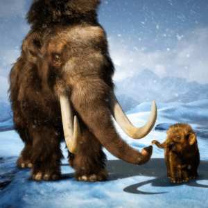 dForce Hair for Woolly Mammoth by AM dForce Hair for Woolly Mammoth by AM