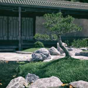 Meditation Gardens Meditation Gardens