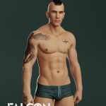 Falcon Character and Hair for Genesis 8 Male Falcon Character and Hair for Genesis 8 Male