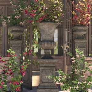 Garden Flowers – Fushia Bushes Garden Flowers – Fushia Bushes