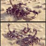 Sci-Fi Scorpion Mecha Sci-Fi Scorpion Mecha