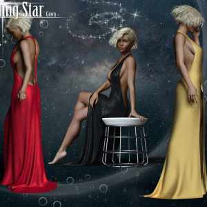 Falling Star Gown Falling Star Gown