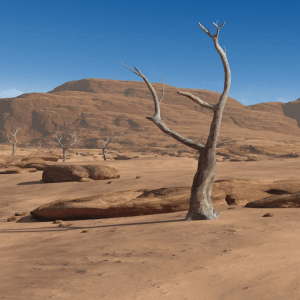 Little Desert Valley Little Desert Valley