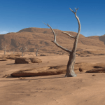 Little Desert Valley Little Desert Valley