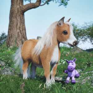 Pocket the Miniature Horse Pocket the Miniature Horse