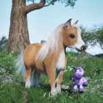 Pocket the Miniature Horse Pocket the Miniature Horse