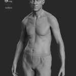 Wolfgang 8.1 HD Add-On Wolfgang 8.1 HD Add-On
