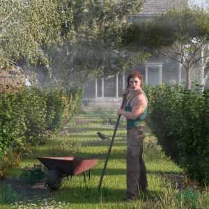 Shrubs for Foliage and Hedging Vol 1 Shrubs for Foliage and Hedging Vol 1