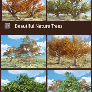 Beautiful Nature Trees Beautiful Nature Trees