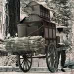 Trade Wagon Trade Wagon