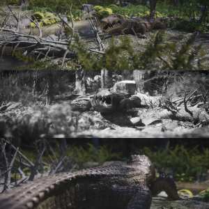 HD Scans Crocodile Prop HD Scans Crocodile Prop