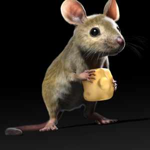 Mouse by AM Mouse by AM