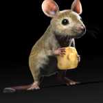 Mouse by AM Mouse by AM