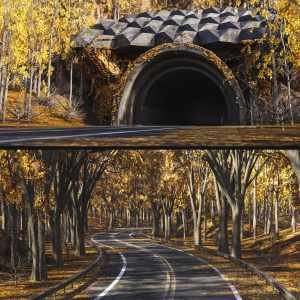 Forest Road Forest Road