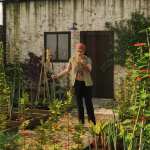 Vegetable Plot – Veg Plants and Raised Beds for Iray Vegetable Plot – Veg Plants and Raised Beds for Iray