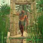 Nile Papyrus Plants Nile Papyrus Plants