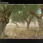 3D Scenery: Olive Grove 3D Scenery: Olive Grove