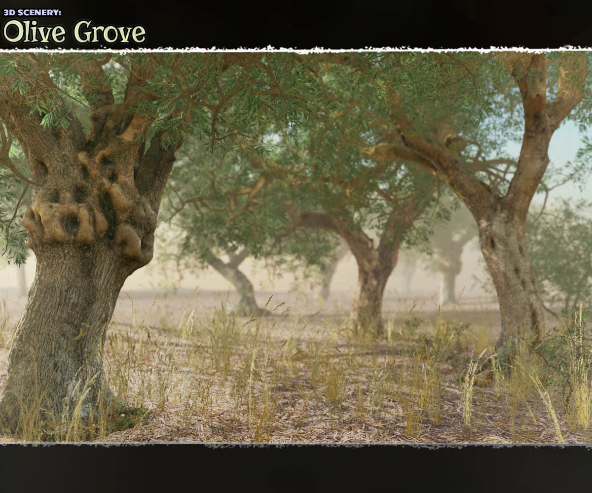 3D Scenery: Olive Grove 3D Scenery: Olive Grove