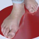 MP Realistic Feet for Genesis 8 and 8.1 Female MP Realistic Feet for Genesis 8 and 8.1 Female