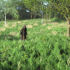 Simple Grasslands Expanse Simple Grasslands Expanse